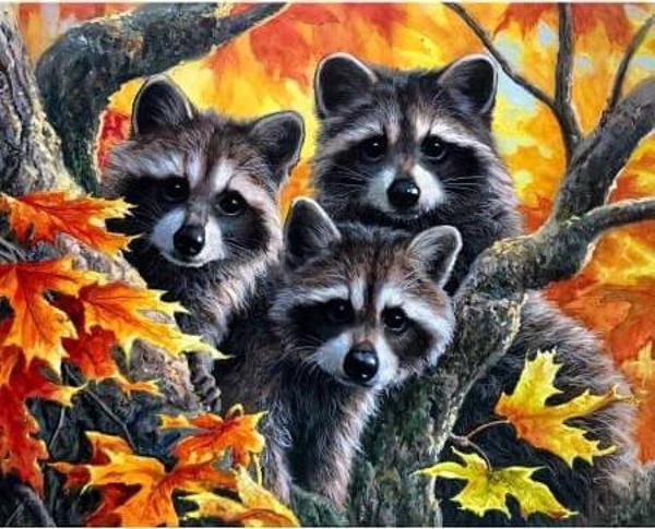 Canvas Sevimli Üçlü Sayılarla Boyama Seti  Kasnaklı 50 x 65 cm - Image 1