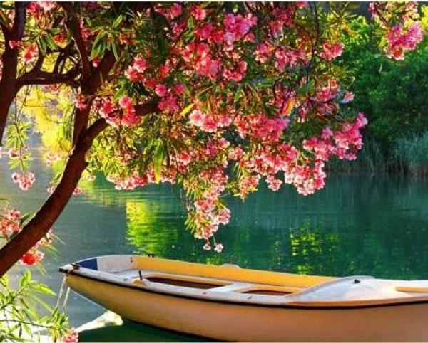 Canvas Göldeki Sandal Sayılarla Boyama Seti  Kasnaklı 70 x 90 cm - Image 1