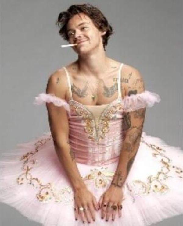 Canvas Harry Styles Sayılarla Boyama Seti  Kasnaklı 70 x 90 cm - Image 1