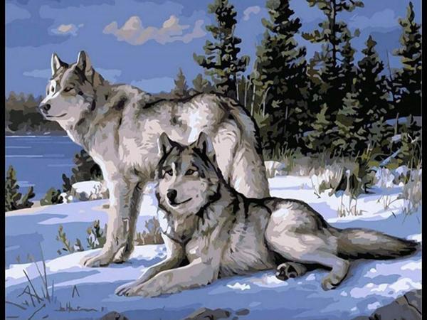 Canvas Kurt Bakışı Sayılarla Boyama Seti Kasnaklı 100 x 140 cm - Image 1