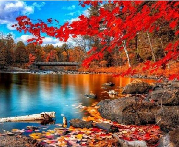 Canvas Sonbaharın Güzelliği Boyama  Seti  Kasnaklı 50 x 65 cm - Image 1