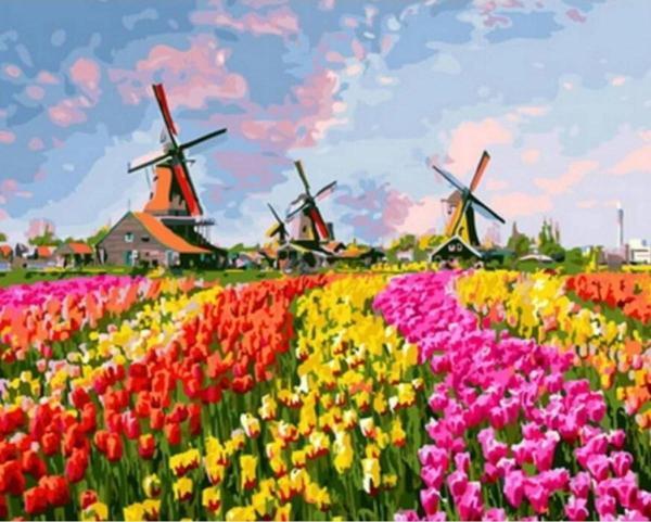 Canvas Renkli Laleler Ve Yeldeğirmenleri Sayılarla Boyama Seti   Kasnaklı 50 x 65 cm - Image 1