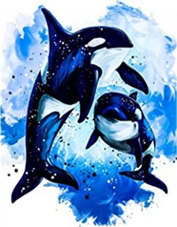 Canvas Mavi Sular ve Orca Sayılarla Boyama Seti  Kasnaklı 50 x 65 cm - Image 1