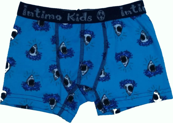 12 li Paket İntimo Kids Erkek Çocuk Desenli Likralı Boxer - Image 1