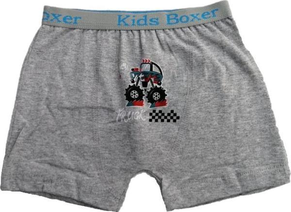 Sedef Yıldız Erkek Çocuk Likralı Boxer 1089 - Image 1
