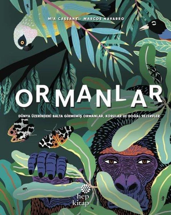 Ormanlar - Dünya Üzerindeki Balta Girmemiş OrmanlarKorular ve Doğal Rezervler - Hep Kitap - Image 1
