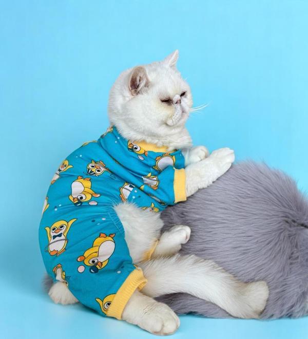 PenPen the Penguin Penye Kedi Tulum Pijama - Image 1