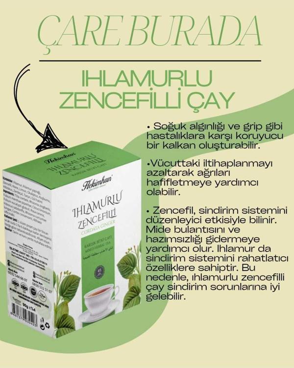 Hekimhan Bitkisel Ihlamurlu Zencefilli Çay 45 Süzen Poşet - Image 1
