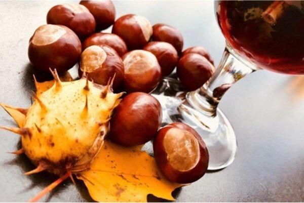 Biorganix Life At Kestanesiyağı 20 Ml - Image 1