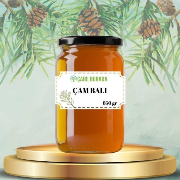 Çare Burada Çam Balı Muğla Bölgesi 850 Gr - Image 1