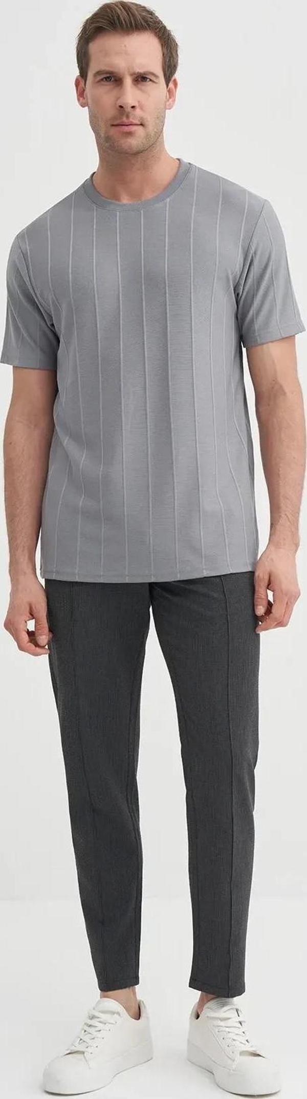 Cazador Regular Fit Bisiklet Yaka İnce Çizgili tişört - Image 1
