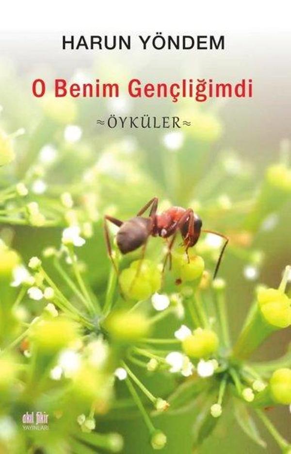 O Benim Gençliğimdi - Öyküler - Akıl Fikir Yayınları - Image 1
