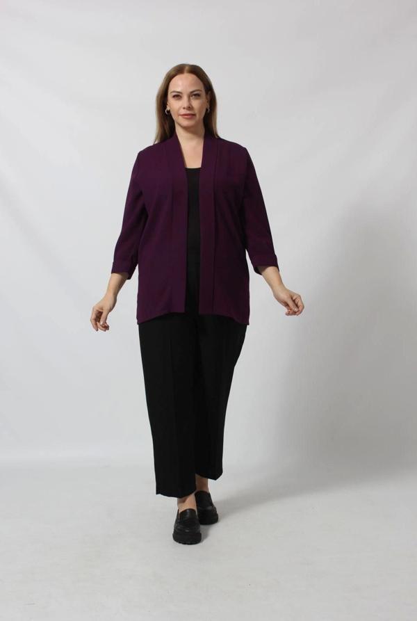 Büyük Beden Blazer Ceket - Image 1