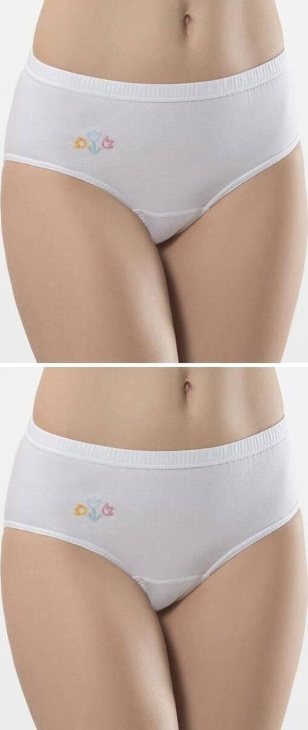 Türen Kadın Nakış Detaylı 2li Pamuklu Basic Külot - Image 1