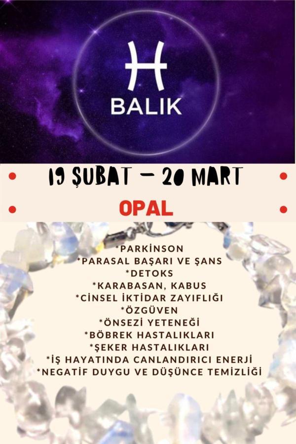 Sertifikalı Burç Taşı Balık Burcu Opal Taşı Bileklik - Image 1