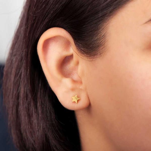 Gümüş Gold Yıldız Çivili Kadın Küpe SL5280 - Image 1