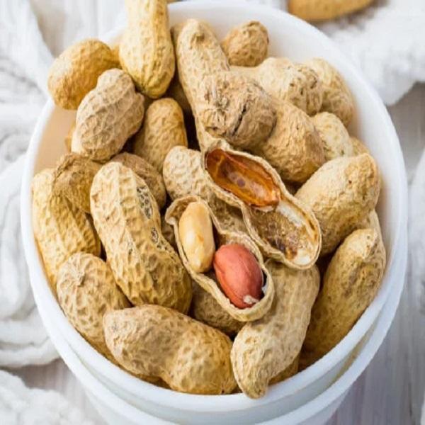 Kabuklu Sade Kavrulmuş Yer Fıstığı 1 kg - Image 1