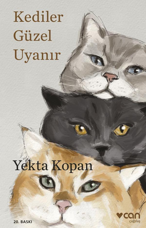 Kediler Güzel Uyanır - Can Yayınları - Image 1