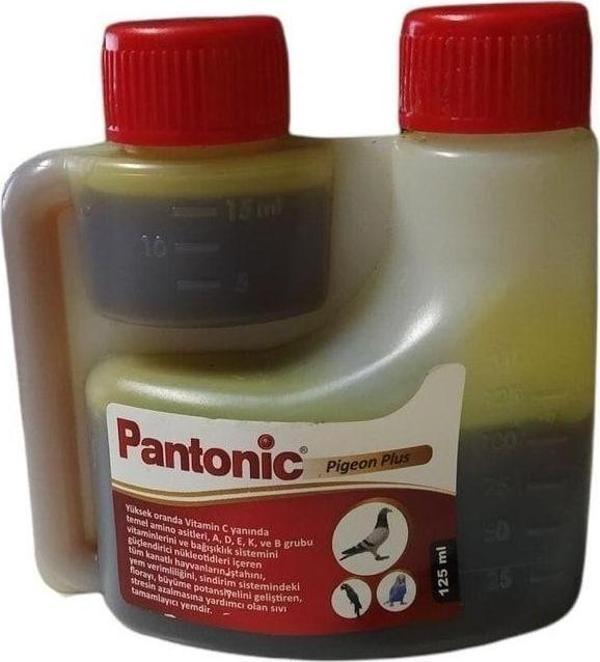 Pantonic - Image 1