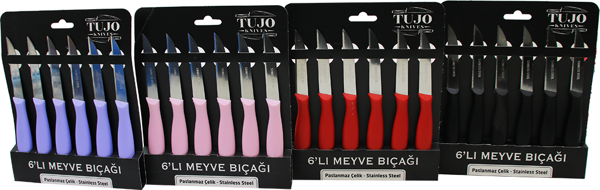 6 PARÇA  MEYVE BIÇAK RENKLİ PLASTİK SAPLI  GO50608444310 - Image 1