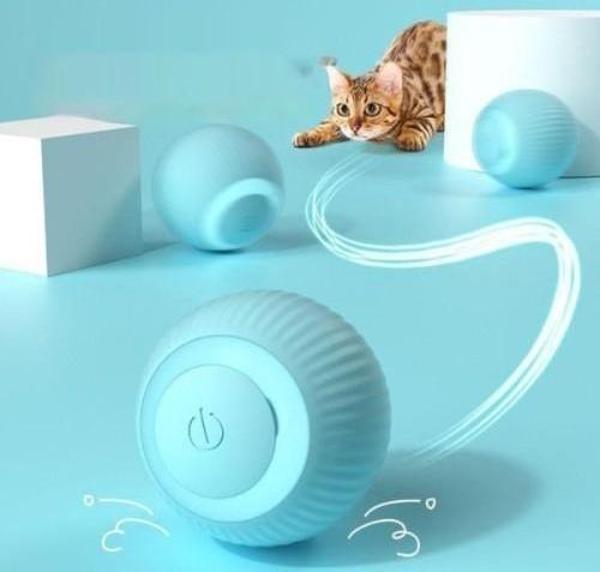 Büro Ev Evcil Hayvanı için Akıllı İnteraktif Kedi Köpek Oyuncağı - Image 1