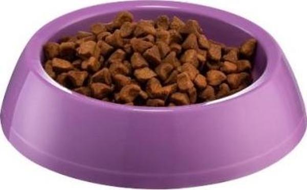 Büro Ev Evcil Hayvanı için Büyük Oval Kedi Köpek Mama Kabı - Image 1
