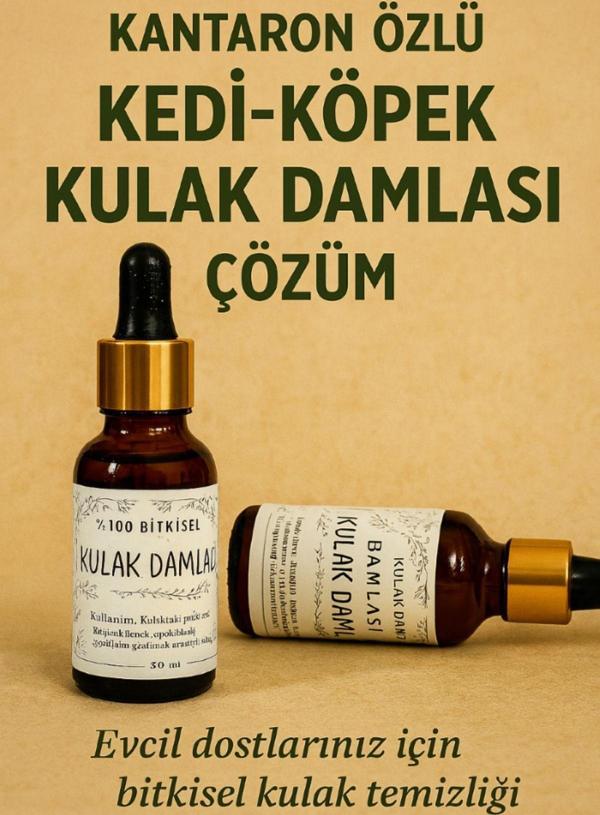 Petlove %100 Doğal Kantaron Özlü Kedi & Köpek Kulak Damlası 20Ml - Image 1