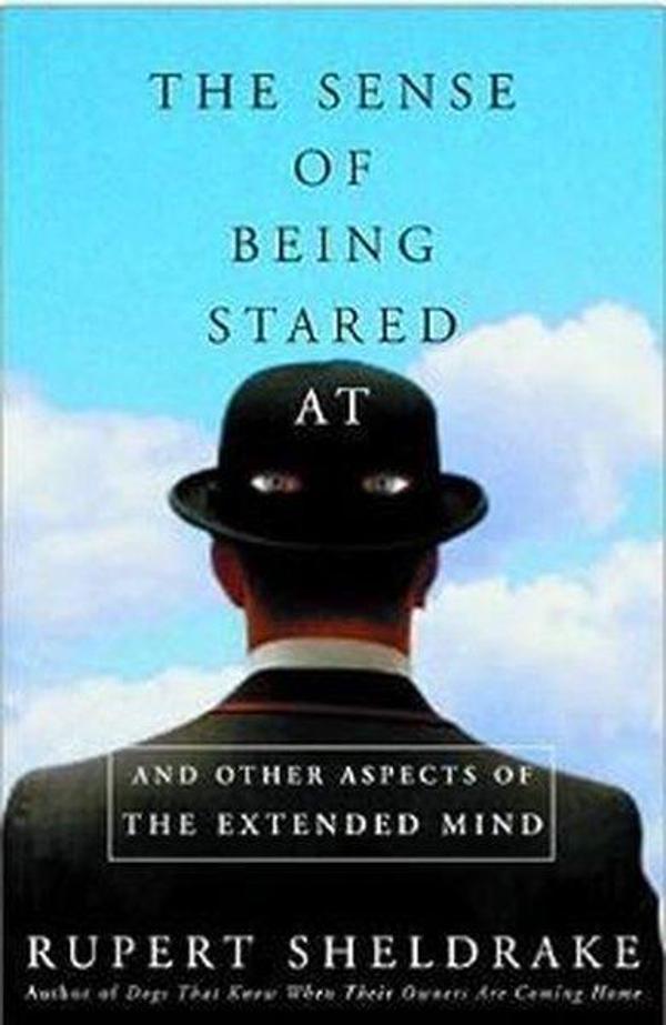 Sense Of Being Stared At - Cornerstone - Image 1