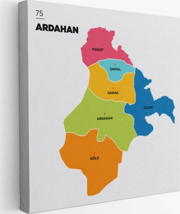 İl ve İlçeler Haritası Ardahan, Modern Dekoratif Kanvas Tablo, Duvar Dekoru 1270 - Image 1