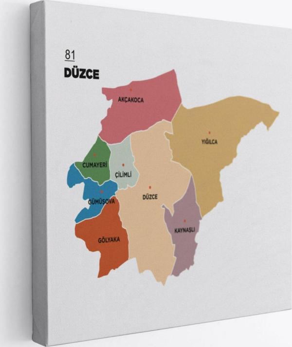 İl ve İlçeler Haritası Düzce, Modern Dekoratif Kanvas Tablo, Duvar Dekoru 1325 - Image 1