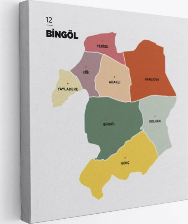 İl ve İlçeler Haritası Bingöl, Modern Dekoratif Kanvas Tablo, Duvar Dekoru 1295 - Image 1