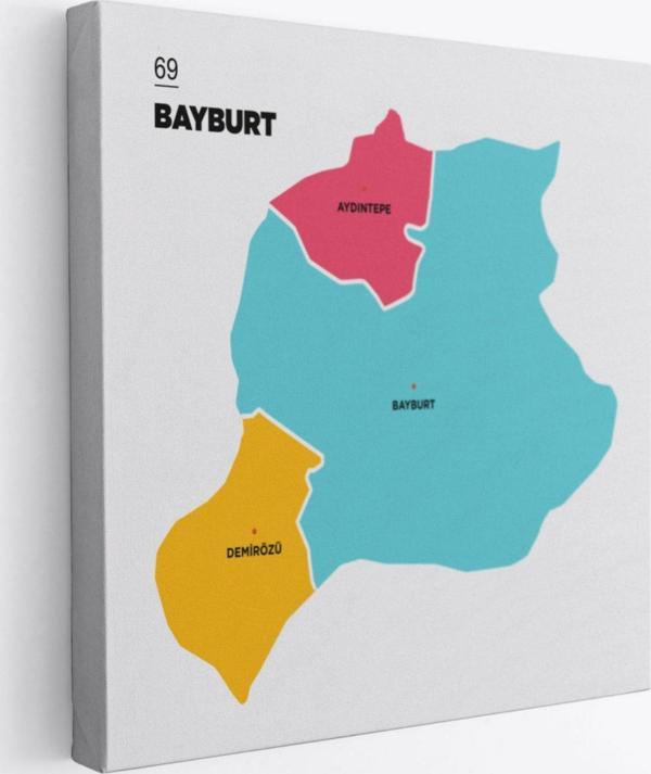 İl ve İlçeler Haritası Bayburt, Modern Dekoratif Kanvas Tablo, Duvar Dekoru 1288 - Image 1