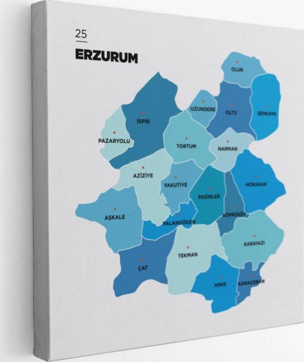 İl ve İlçeler Haritası Erzurum, Modern Dekoratif Kanvas Tablo, Duvar Dekoru 1338 - Image 1