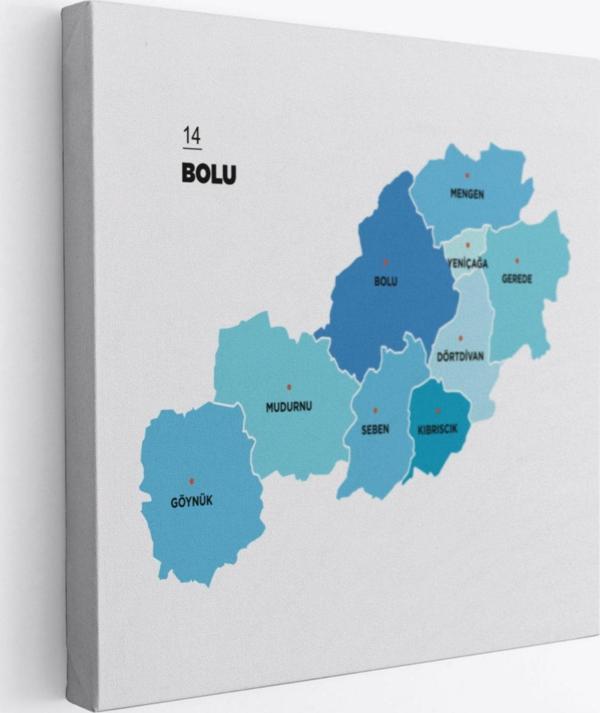 İl ve İlçeler Haritası Bolu, Modern Dekoratif Kanvas Tablo, Duvar Dekoru 1302 - Image 1