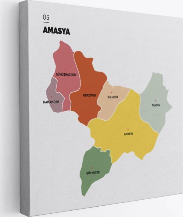 İl ve İlçeler Haritası Amasya, Modern Dekoratif Kanvas Tablo, Duvar Dekoru 1262 - Image 1