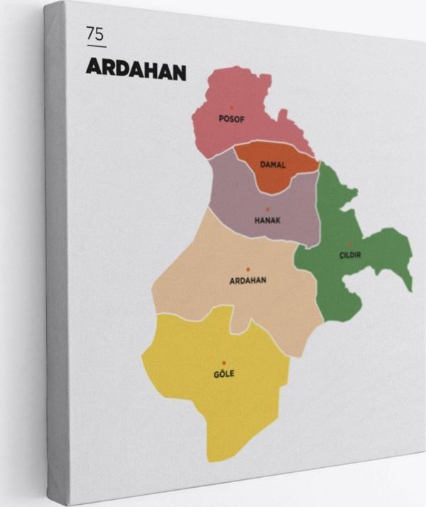 İl ve İlçeler Haritası Ardahan, Modern Dekoratif Kanvas Tablo, Duvar Dekoru 1271 - Image 1