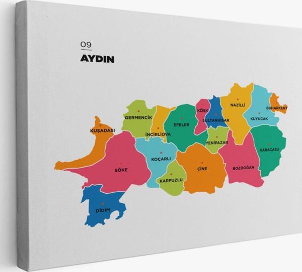 İl ve İlçeler Haritası Aydın, Modern Dekoratif Kanvas Tablo, Duvar Dekoru 1276 - Image 1