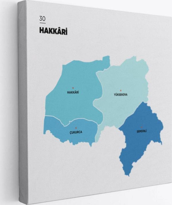 İl ve İlçeler Haritası Hakkari, Modern Dekoratif Kanvas Tablo, Duvar Dekoru 1353 - Image 1