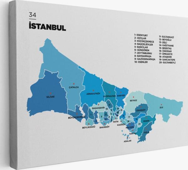 İstanbul İli ve İlçeler Haritası Dikdörtgen Dekoratif Kanvas Tablo, Duvar Dekoru 1366 - Image 1
