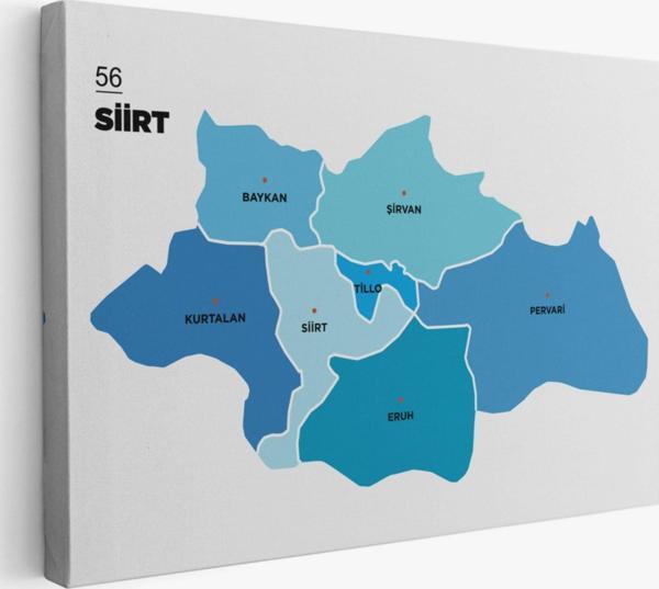 İl ve İlçeler Haritası Siirt, Modern Dekoratif Kanvas Tablo, Duvar Dekoru 1450 - Image 1