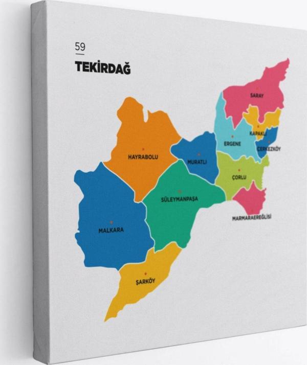 İl ve İlçeler Haritası Tekirdağ, Modern Dekoratif Kanvas Tablo, Duvar Dekoru 1463 - Image 1