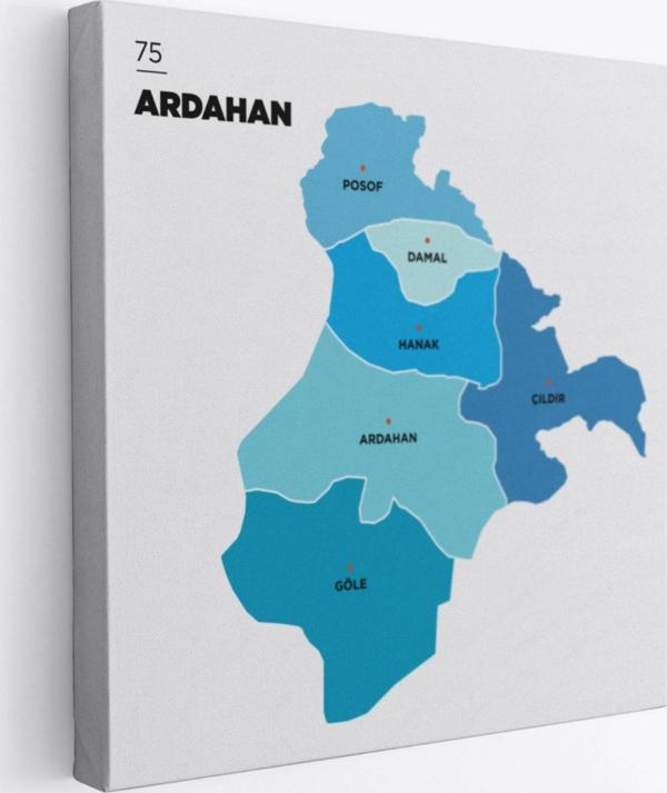 İl ve İlçeler Haritası Ardahan, Modern Dekoratif Kanvas Tablo, Duvar Dekoru 1272 - Image 1