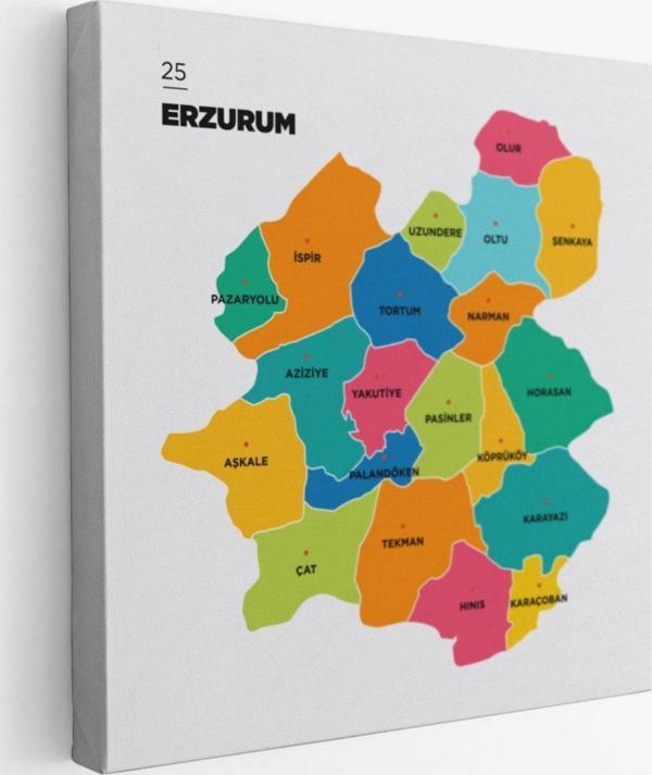 İl ve İlçeler Haritası Erzurum, Modern Dekoratif Kanvas Tablo, Duvar Dekoru 1336 - Image 1