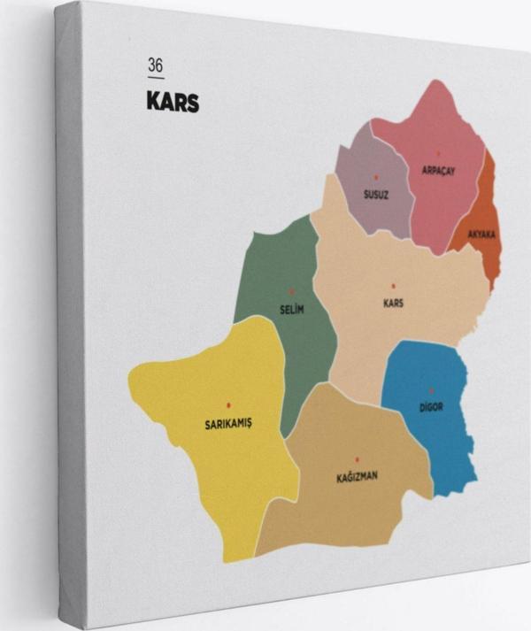 İl ve İlçeler Haritası Kars, Modern Dekoratif Kanvas Tablo, Duvar Dekoru 1380 - Image 1