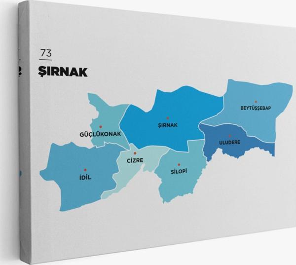İl ve İlçeler Haritası Şırnak, Modern Dekoratif Kanvas Tablo, Duvar Dekoru 1462 - Image 1