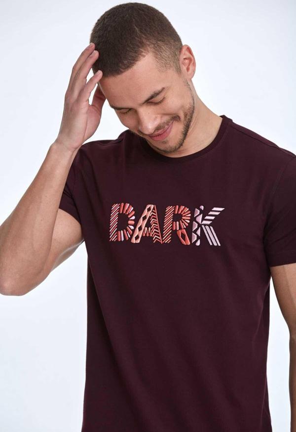 Hudson Nakışlı Erkek Tişört Bordo - Image 1
