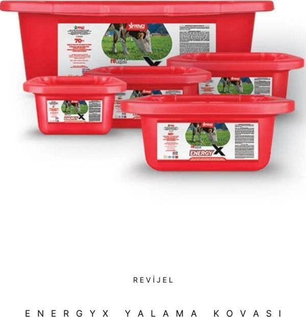 Revijel Energy Vitamin-İz mineral Giderici Yalama Bloğu 10 KG - Image 1