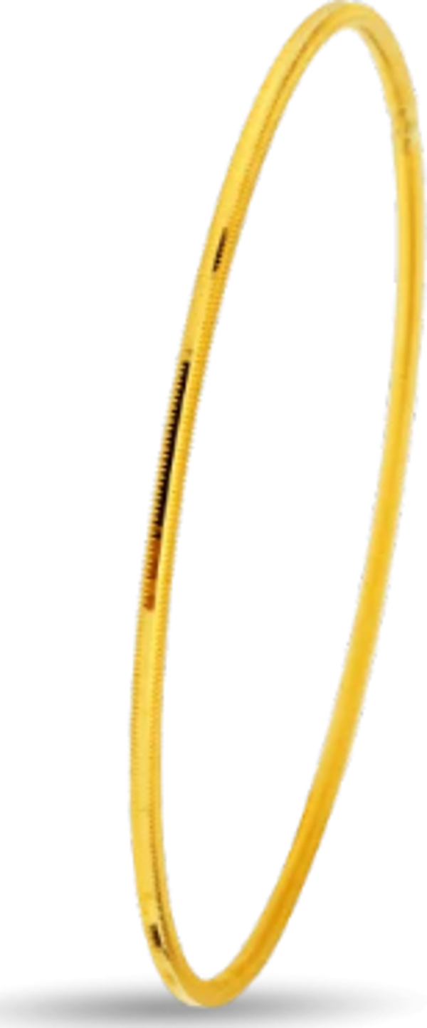 Birlik Kuyumculuk 22 Ayar 10 Gram Müjde Bilezik