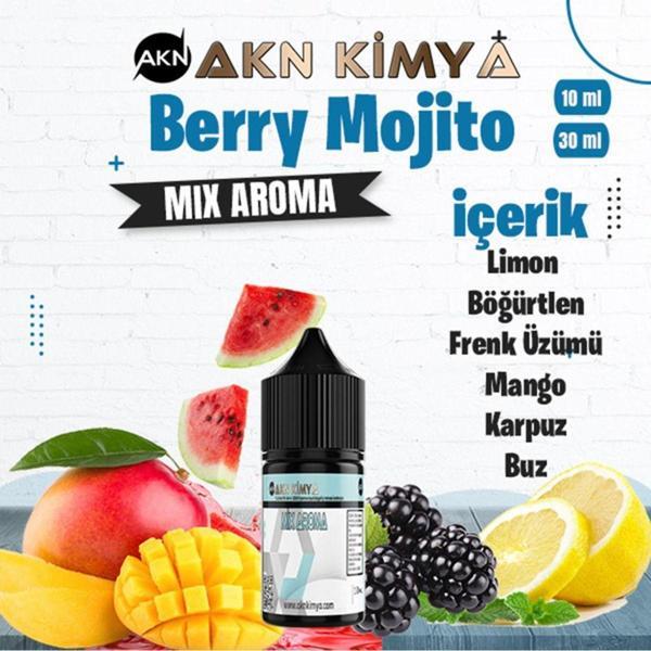 Berry Mojito Mix Aroma Limon Böğürtlen Frenk Üzümü Buz Gıda Aroması 10 ml - Image 1