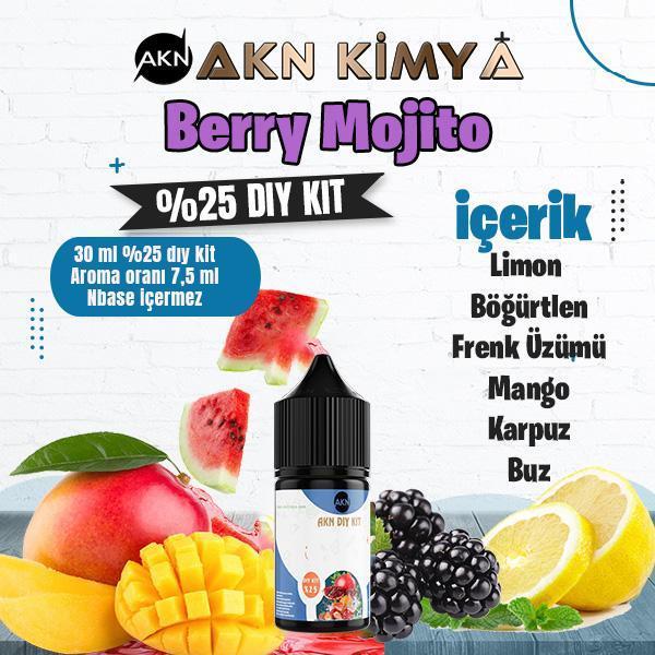 Berry Mojito Yoğun Dıy Kit Limon Böğürtlen Frenk Üzümü Buz Gıda Aroması %25 Oranda Aroma İçerir (Hazır Değildir ) - Image 1